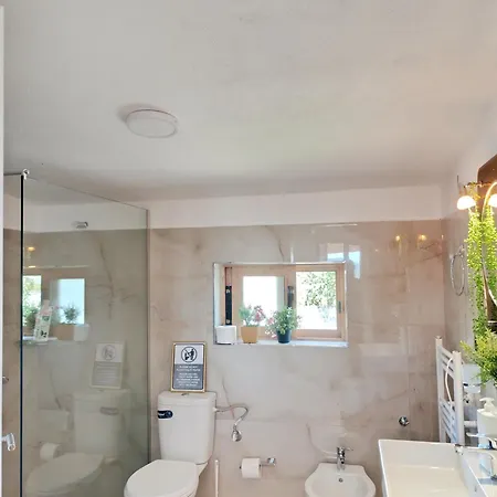 The View And Terrace *